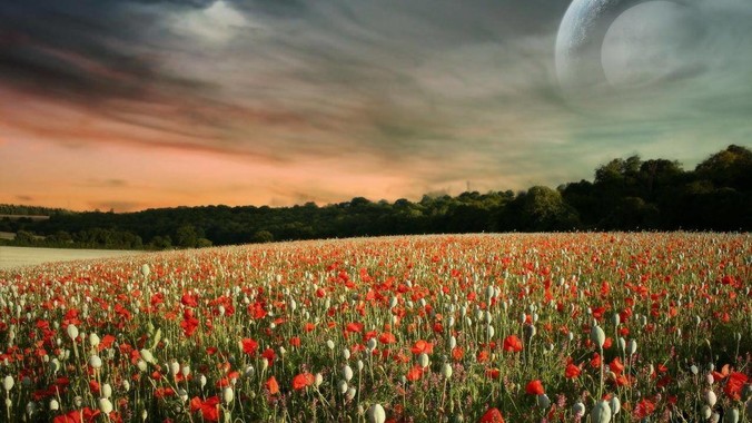 始终怀不上孕是种怎样的体验？